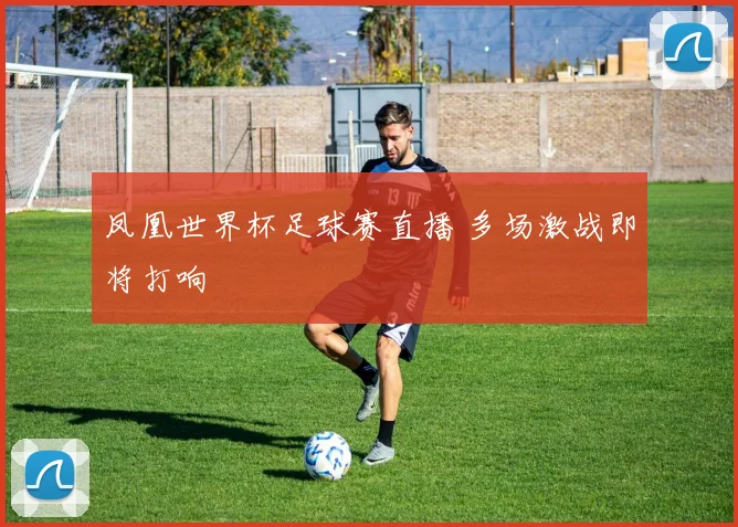 凤凰世界杯足球赛直播 多场激战即将打响