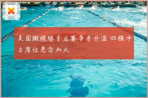 美国橄榄球季后赛争夺升温 四强冲击席位悬念加大