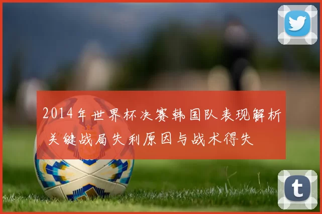 2014年世界杯决赛韩国队表现解析 关键战局失利原因与战术得失