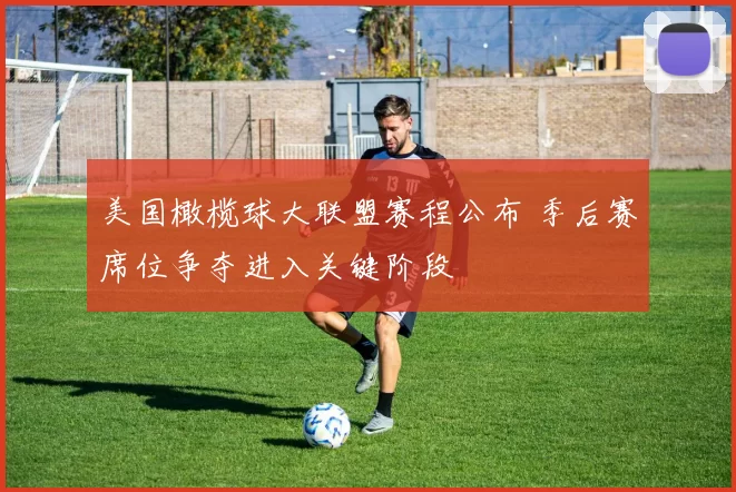 美国橄榄球大联盟赛程公布 季后赛席位争夺进入关键阶段