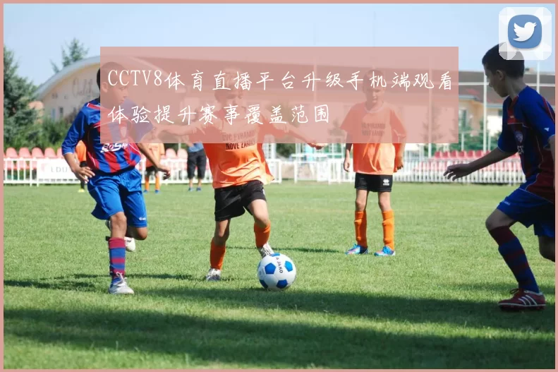 CCTV8体育直播平台升级手机端观看体验提升赛事覆盖范围
