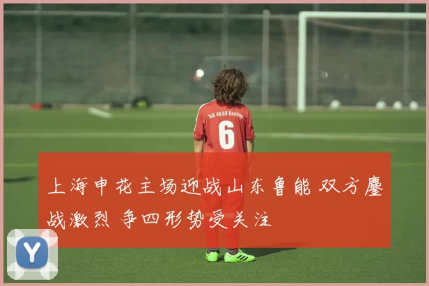 上海申花主场迎战山东鲁能 双方鏖战激烈 争四形势受关注