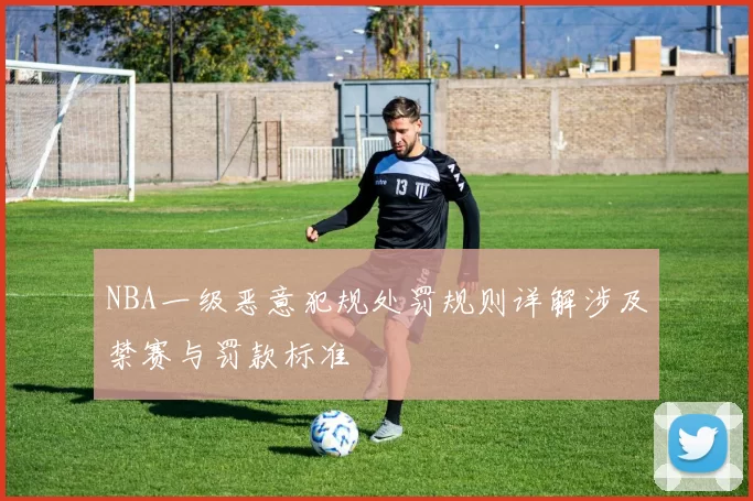 NBA一级恶意犯规处罚规则详解涉及禁赛与罚款标准