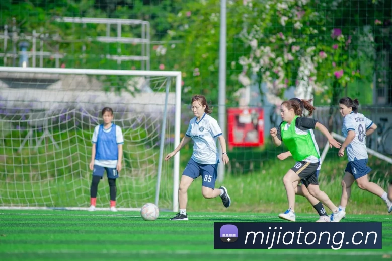 多媒体互动体验